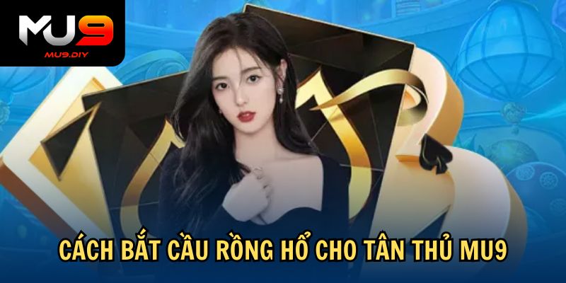 Cách bắt cầu Rồng Hổ cho tân thủ Mu9